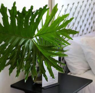 Worcester House | Palm La Vie