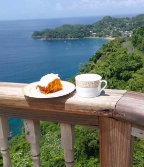 Castara House | Paradise Point Villas