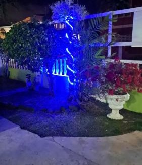 Diamond House | Pascall's Luxury Homes Villa