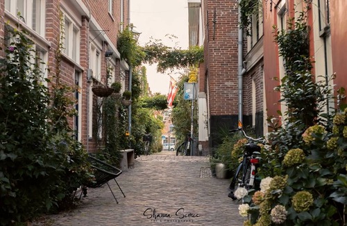 Alkmaar Apartment | Penthouse Trendy inside the historical old city of Alkmaar!