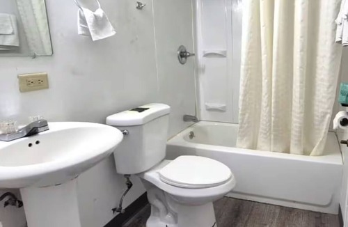South Holland Hotel | Pet-Friendly Room w/Free Parking – Great for Solo & Business Travelers