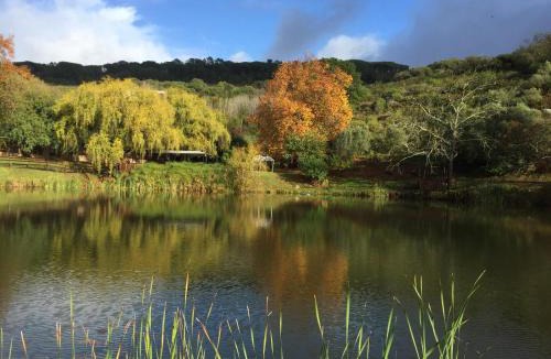 Paarl House | Picardie Guest Farm