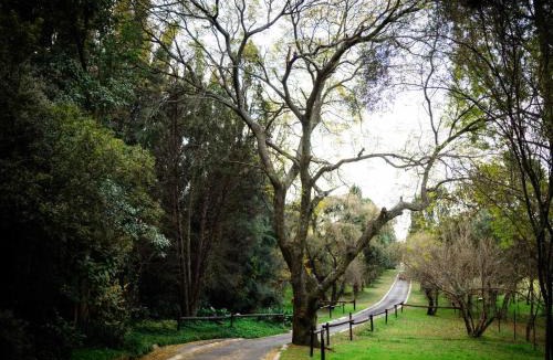 Lanseria Cabin | Pinewood Cottages