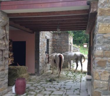 Camugnano Bed & Breakfast | Podere Caselina b&b