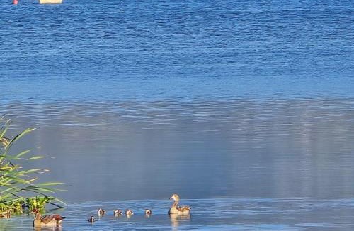 Retreat Cabin | Princess Vlei Lodge