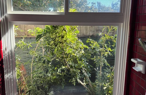 Eastside House | Private studio with large patio