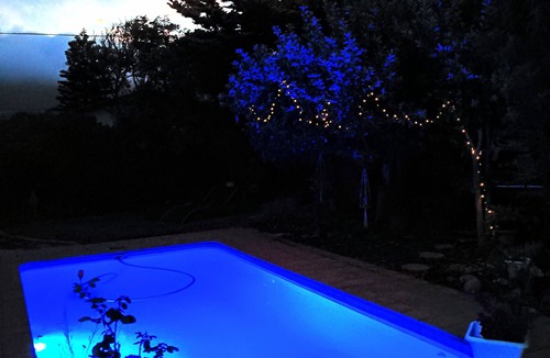 Clovelly Apartment | Quaint Cottage with tranquil garden and swimming pool . Near beach !