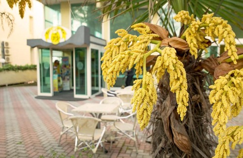 Marina Centro Hotel | Rèmin Plaza Hotel