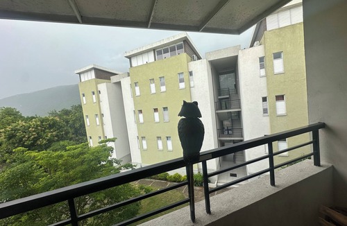 Saint Andrew Apartment | Rainbow Retreat near the heart of kingston