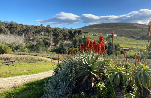 Caledon House | Red Aloe Farm