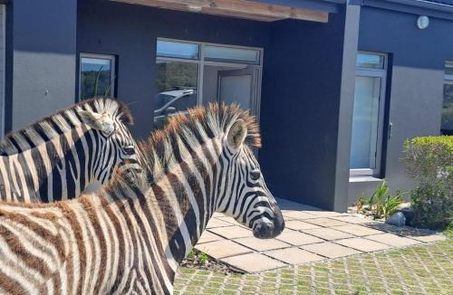 Gansbaai House | Romansbaai Beach House
