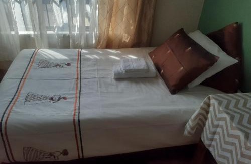 Greater Johannesburg Metropolitan Area House | Rona Thina House