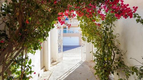 Villas de Las Palmas House | San Felipe Paradise Rental Villa - Beachfront + WiFi