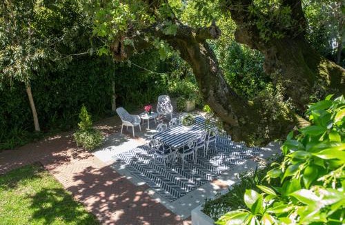 Rondebosch Bed & Breakfast | Sandown Lodge