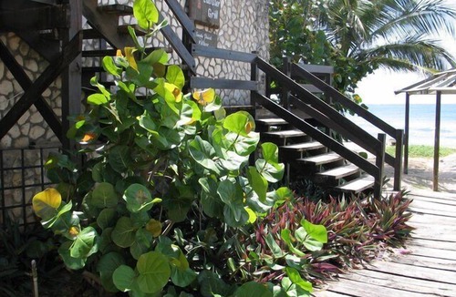 Crown Point Hotel | Sandy Point Village