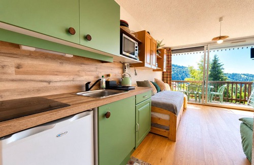 Notre-Dame-de-Bellecombe Apartment | Ski-in studio with balcony and pets allowed