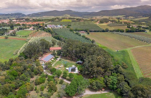 Bibbona House | Sole 5 - Monolocale con soppalco