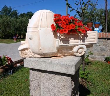 Rigutino House | sole di campagna