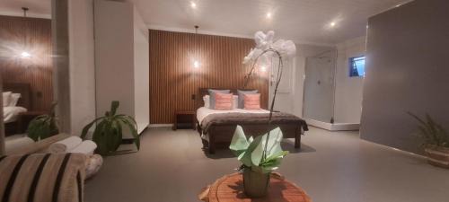 Van Dyks Bay House | Southern Right Guest House