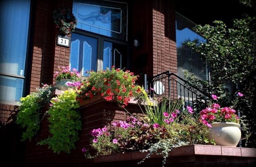 Humber Summit House | Spacious Lotus Room in A Stunning Chalet Style Home - YYZ