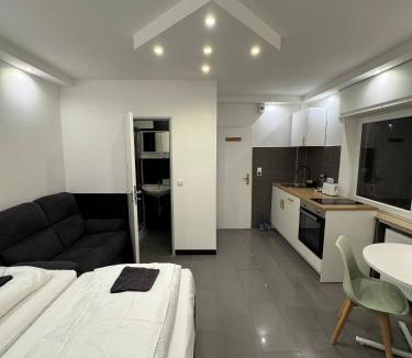 Kelsterbach Apartment | Studio Apartment next to Airport