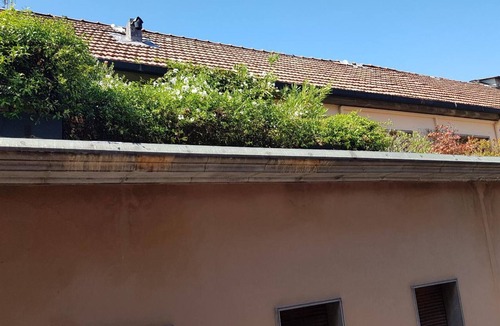 Cremona Apartment | Studio Apartment 'Otelia' with Wi-Fi and Air Conditioning