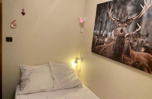 Les Saisies Apartment | Studio cabine cosy pour 4 aux Saisies, animaux admis - FR-1-293-165