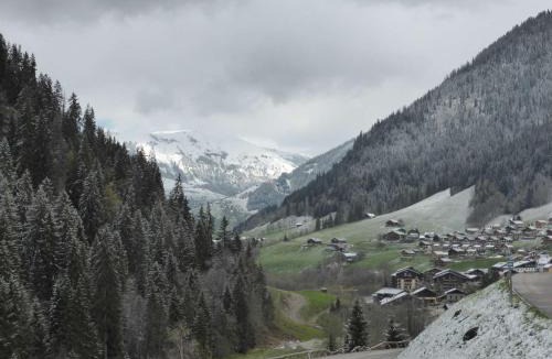 Beaufort Apartment | Studio cabine spacieux 4 pers, proche pistes et village, balcon et parking, Arêches-Beaufort - FR-1-342-295
