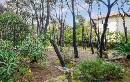 Quercianella House | Stunning Home In Quercianella With Wifi
