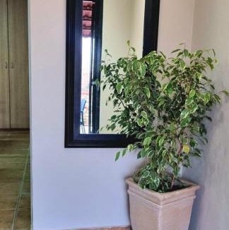 Randpark Ridge Apartment | Sunrise Self-catering Apartment Honeydew with Solar backup