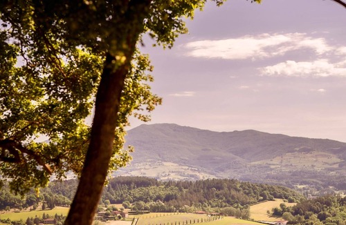 Porrena Villa | Tenuta Seriole