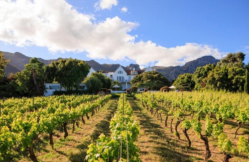 Constantia Hotel | The Cellars-Hohenort