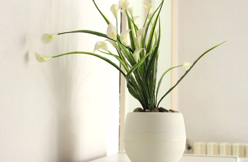 Florence House | The Deer Oasis