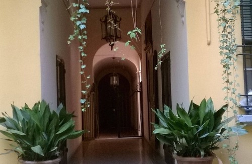 Historic Center Apartment | The frog's hideaway - your palace in the city (CIN: IT037006C2NX87L3XB)