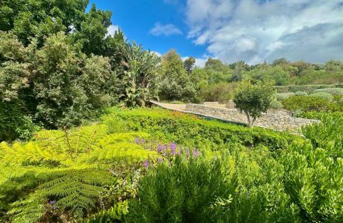 Hermanus Apartment | The Guardian Hermanus Luxury Self-Catering Hemel en Aarde Valley