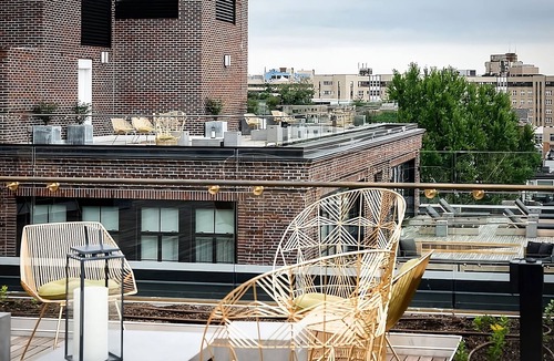 Adams Morgan Hotel | The LINE Hotel Washington DC, District King, Short Drive to Phillips Collection!