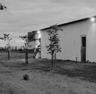 Koelenhof Apartment | The Old Dairy at Allemanskloof