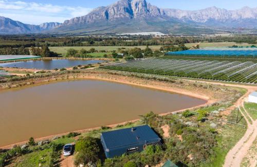 Wolseley Villa | The Riverstone House