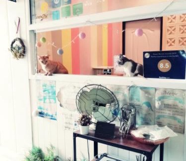 Nakhon Ratchasima Hotel | Thorfun Guesthouse in the Garden