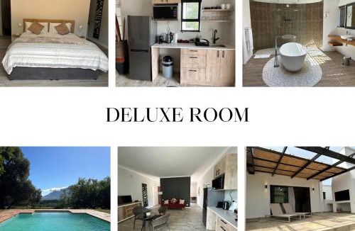 Cape Winelands House | Topiary Wine Estate & Cottages