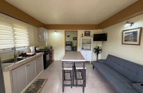 Charlotteville Apartment | Topriver View 1-bd Apt - 5 min walk to beach in perfect Charlotteville with AC