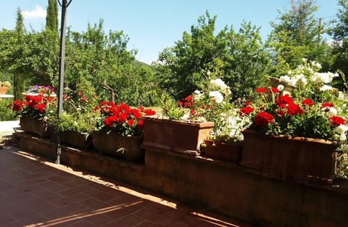 Castelnuovo di Val di Cecina Apartment | Traditional Tuscan apartment in a cozy vacation farmhouse.