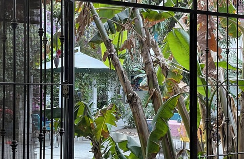Santa Rosa Bed & Breakfast | Traveller's place with the best location!