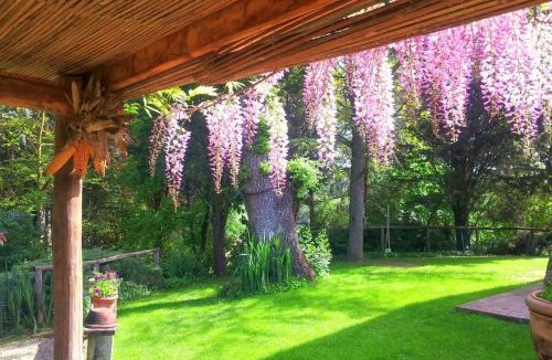Vicchio House | TUSCAN HILLS - STONEHOUSE, GARDEN & POOL
