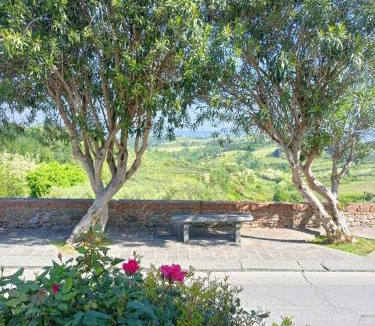 Terricciola Apartment | Tuscany Life