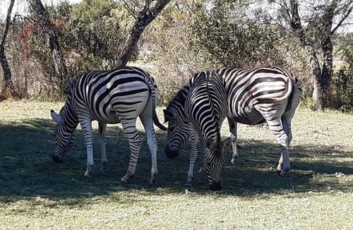 Parys House | Vaal River Lodge Haven