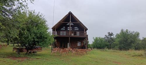 Beestekraal House | Vaalkop Dam Reserve Log Cabin, Self-Catering, Beestekraal