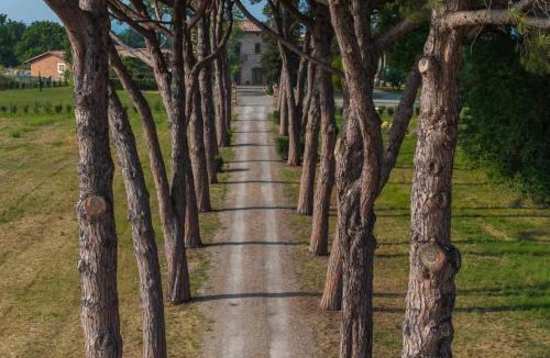 Colle di Val d'Elsa Villa | Villa Arnolfo