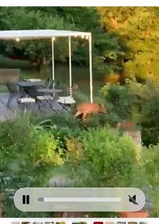 Ricco del Golfo House | Villa Gianna