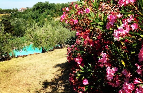 Montespertoli Villa | Villa Ginestruzze – Villa with Private Pool and Exclusive Suites in Tuscany